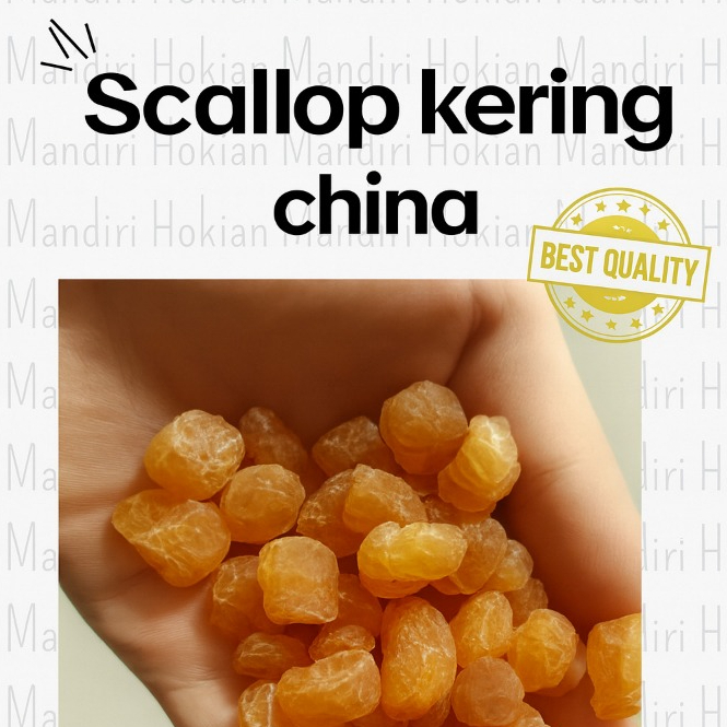 Scallop Kering China – Gan Bei – Kerang Kering Premium 100 gram