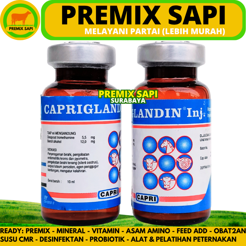 CAPRIGLANDIN INJ 10 ML - Hormon Sinkronisasi Estrus Sapi Kambing Domba Kuda Babi