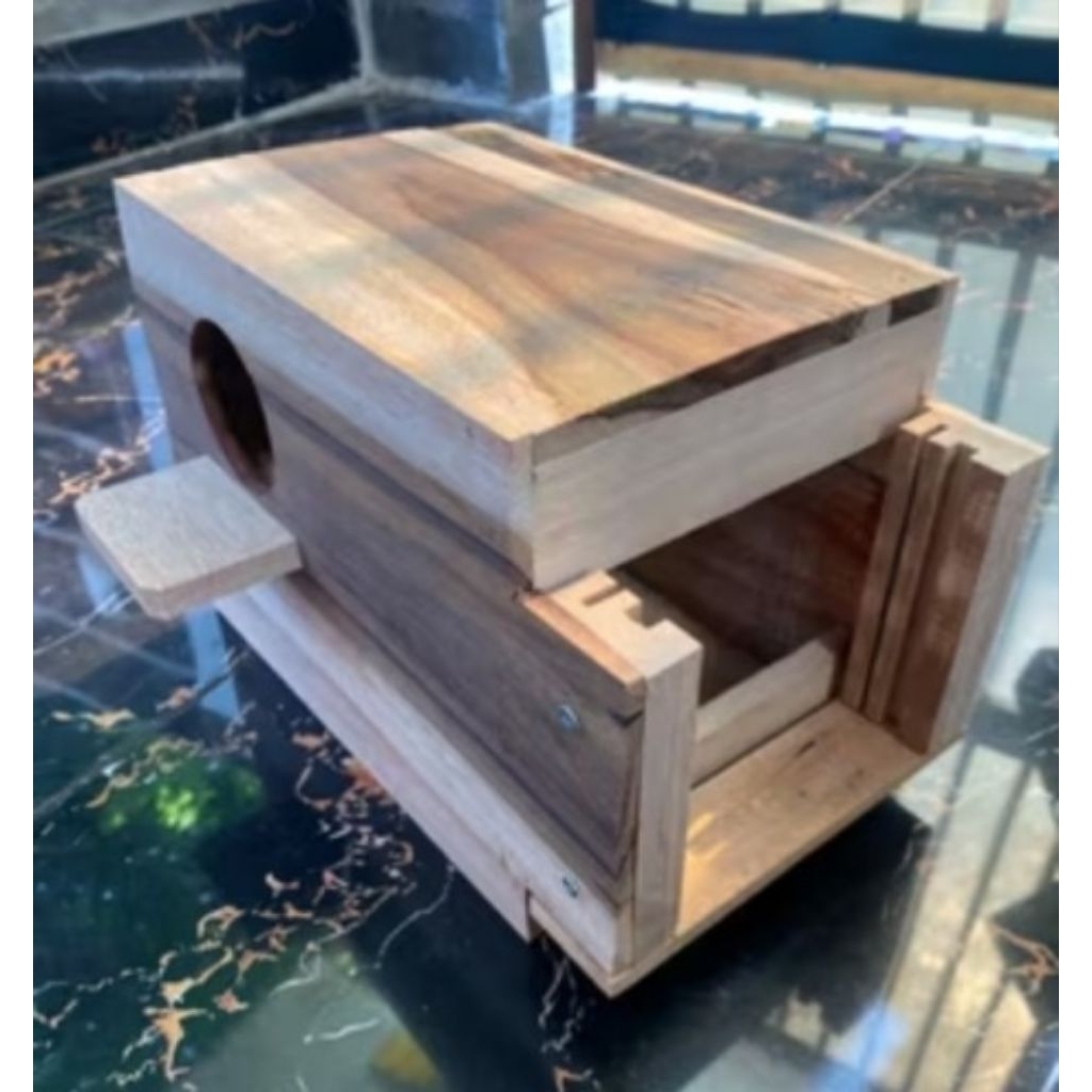 Glodok Kaca Lovebird Kayu Sonokeling free sarang Lovebird