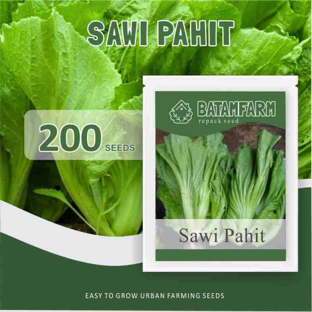 Benih Bibit Sawi Pahit Marokot
