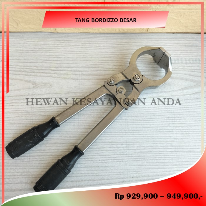 Tang Bordizzo Besar Alat Kastrasi Hewan Ternak Besar