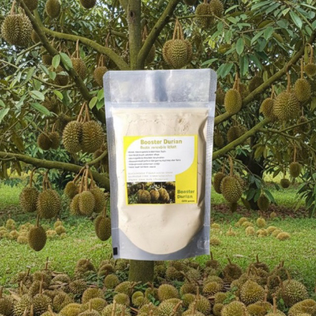 booster durian perangsang buah durian pupuk durian