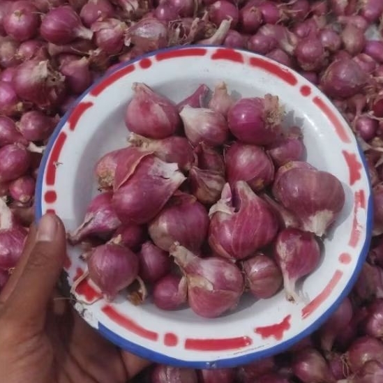 Bawang merah 1kg