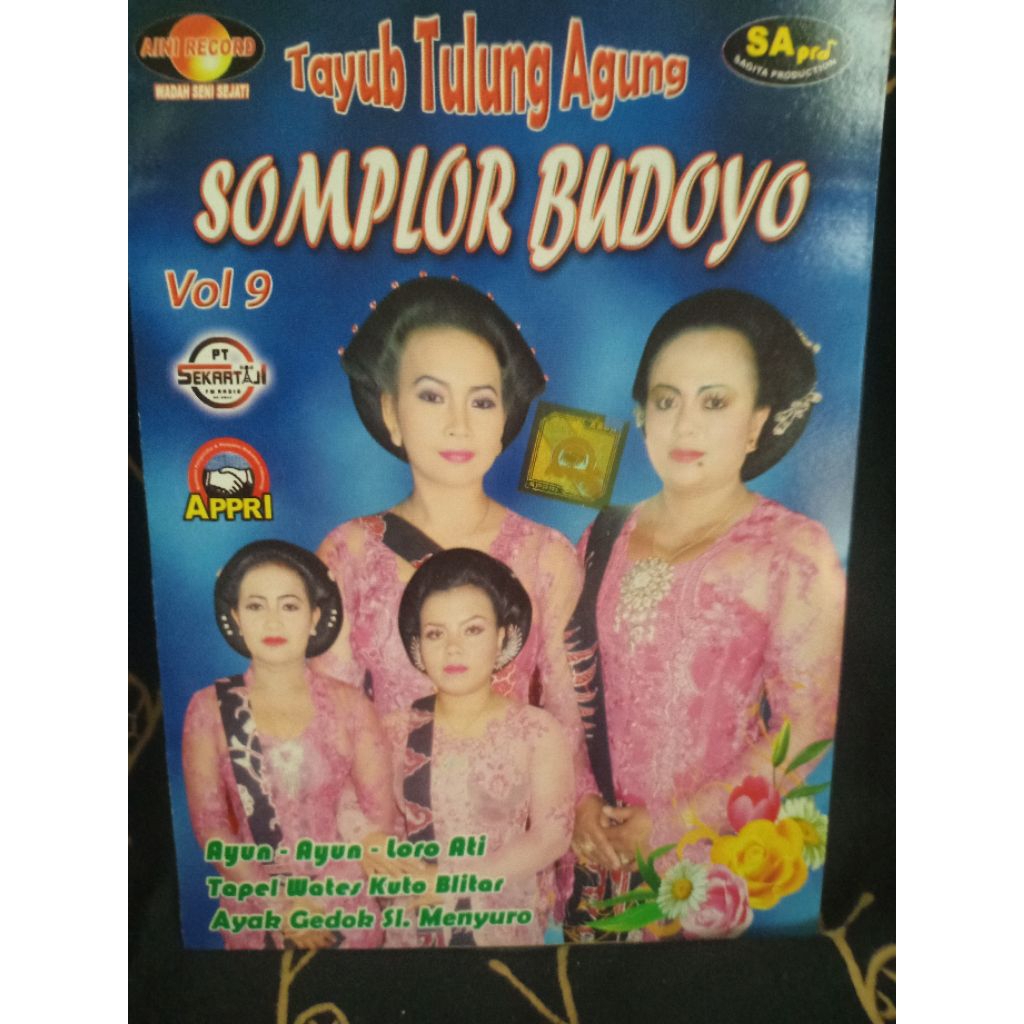 VCD TAYUB SOMPLOR BUDOYO VOL 9