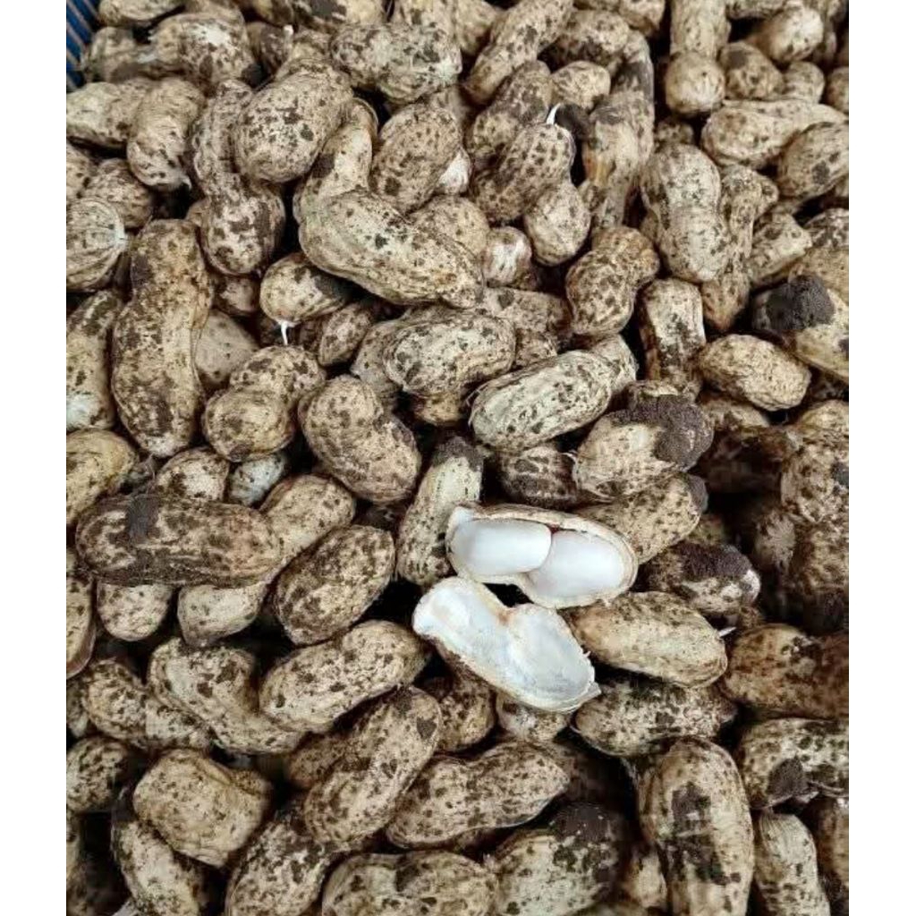 kacang tanah mentah 1kg