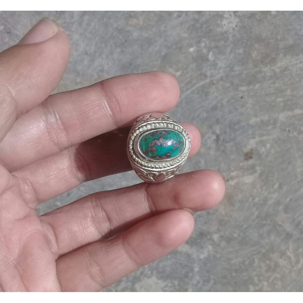 PIRUS PERSIA HIJAU
