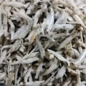 IKAN ASIN TERI JENGKI BERSIH TANPA KEPALA