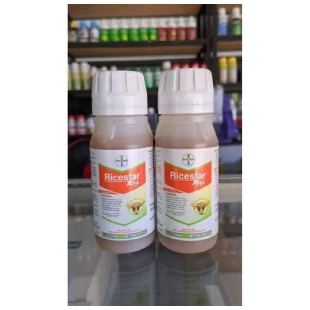 Ricestar