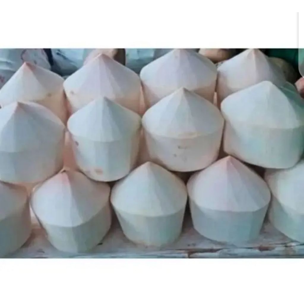 DEGAN KUPAS JELLY SEGAR