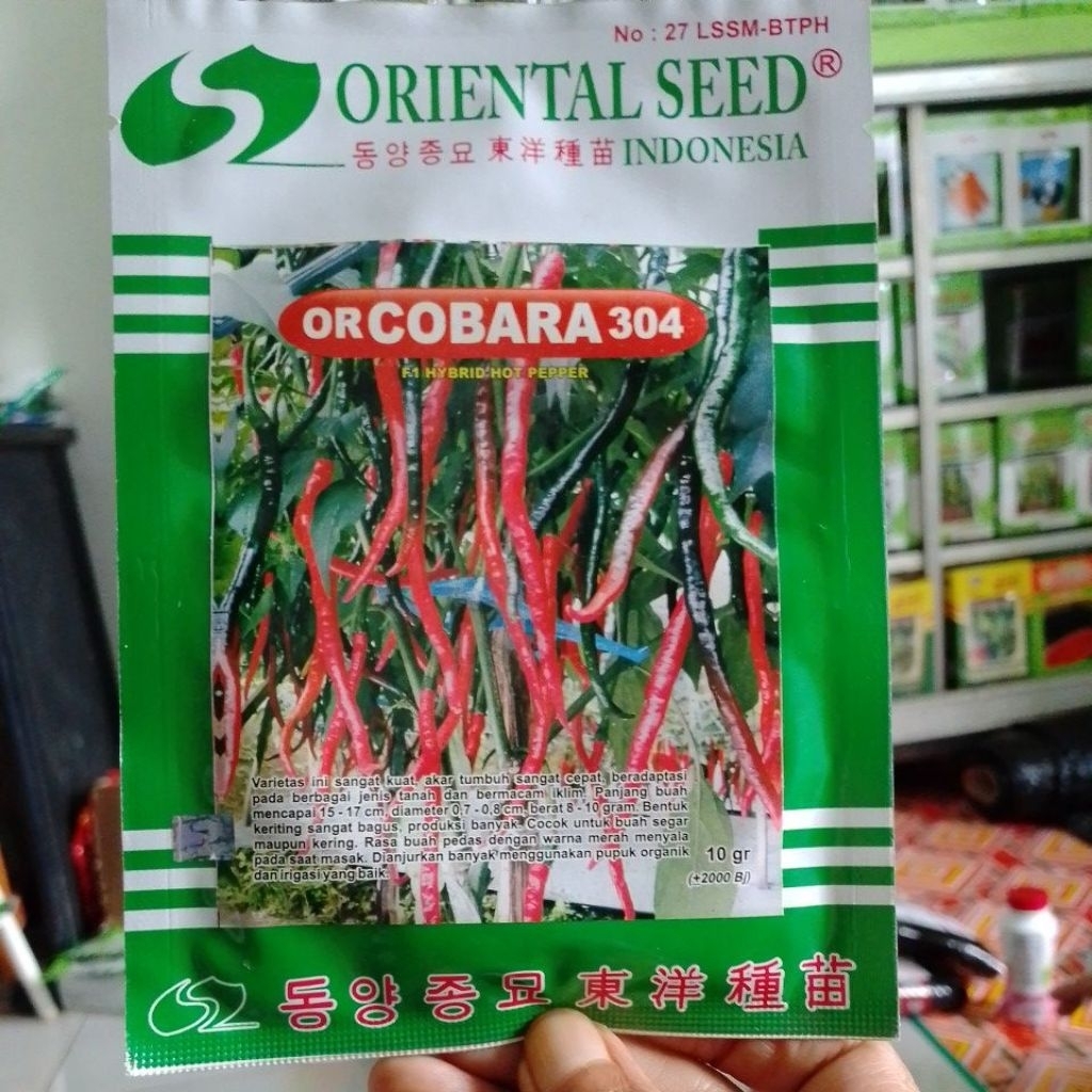 Benih Cabai Keriting Hibrida or COBARA 304 Original Oriental Seed