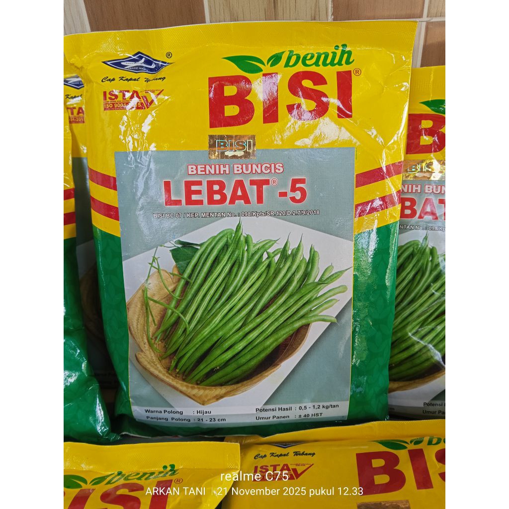 BENIH BUNCIS LEBAT - 5 500 GRAM - CAP KAPAL TERBANG