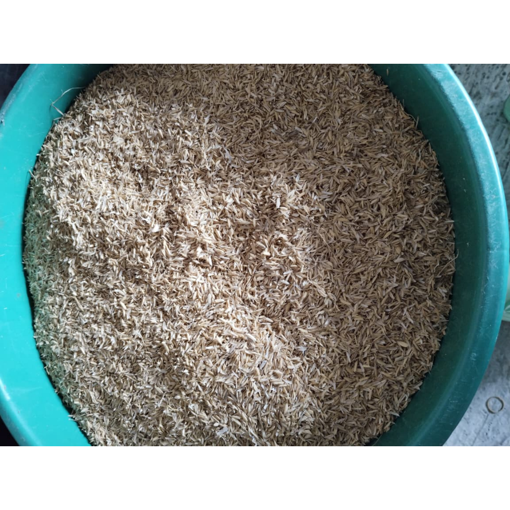 Merang  Padi Alami Kering Bahan Pupuk Organik 1kg