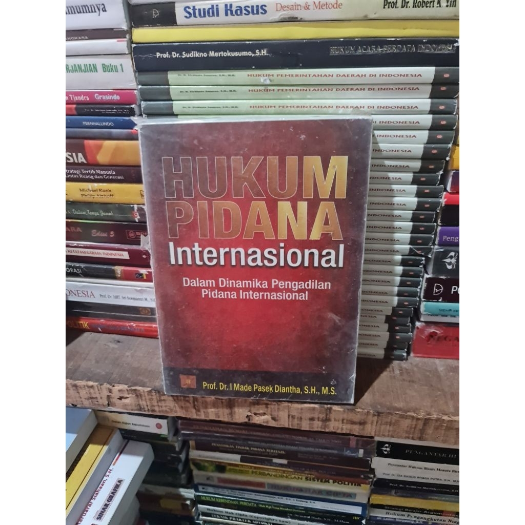 Hukum pidana internasional by Prof Dr I Made Pasek Diantha