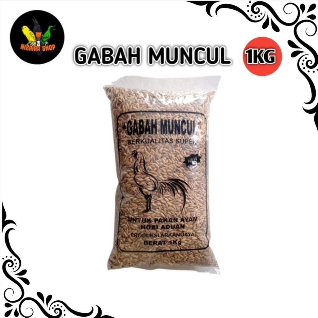 GABAH MUNCUL SUPER Pakan Ayam Bangkok Aduan - 1 kg