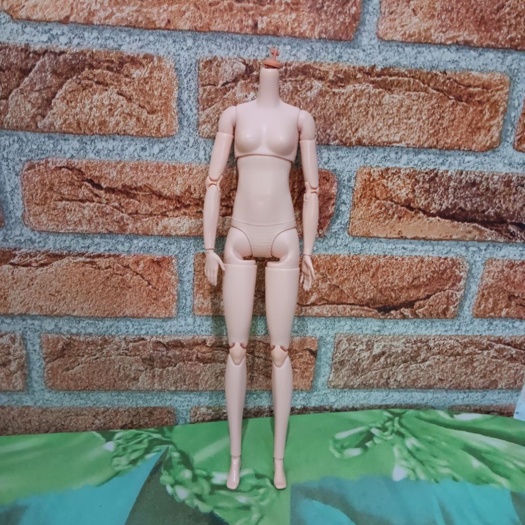 barbie mtm/body mtm/barbie collector/barbie kolektor/body muse