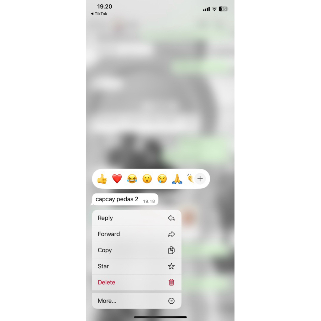 Jasa SS/screenshoot iphone/jasa skrinsut iphone