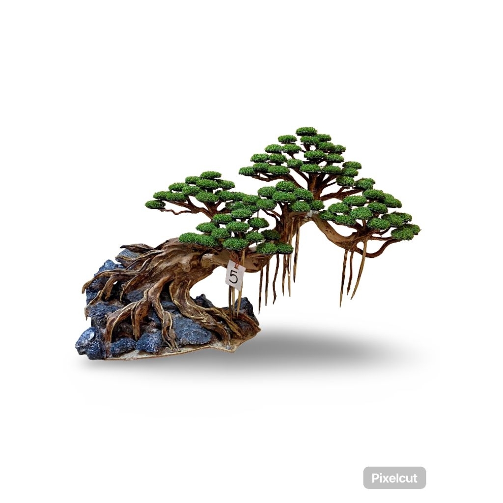 Bonsai Full Kayu Rasamala Jumbo 35cm x 60cm – Natural Aquascape Hardscape