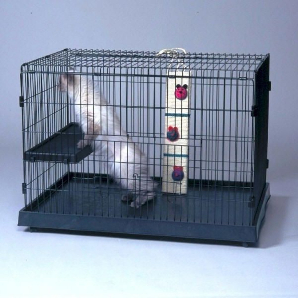 kandang kucing lipat ukuran 75x45 (besi tebal)