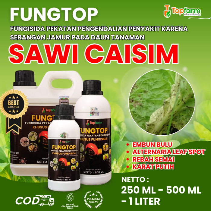 Obat Jamur Topfarm / Obat Bercak Daun Sawi / Obat Busuk Daun Sawi Caisim / Obat Hama Jamur Daun Sawi