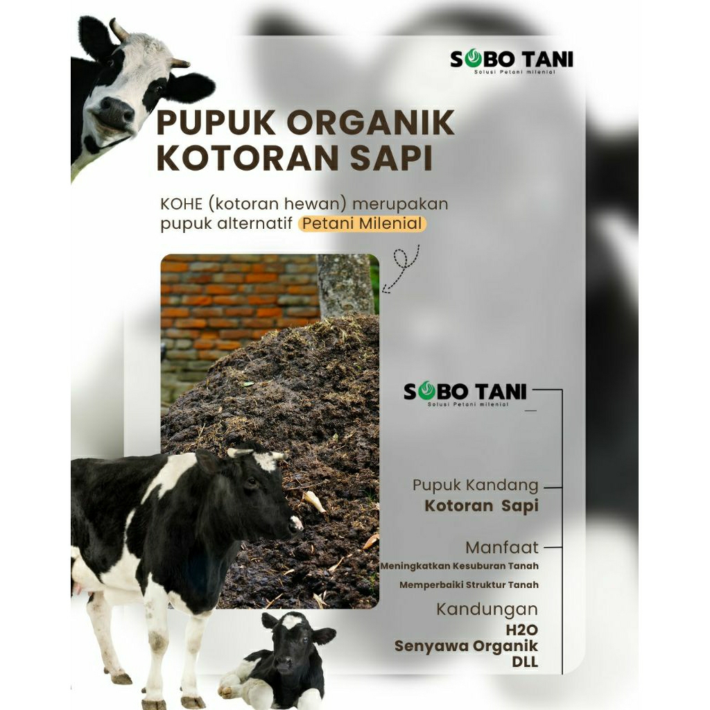 pupuk kandang kotoran sapi karung 25 kg