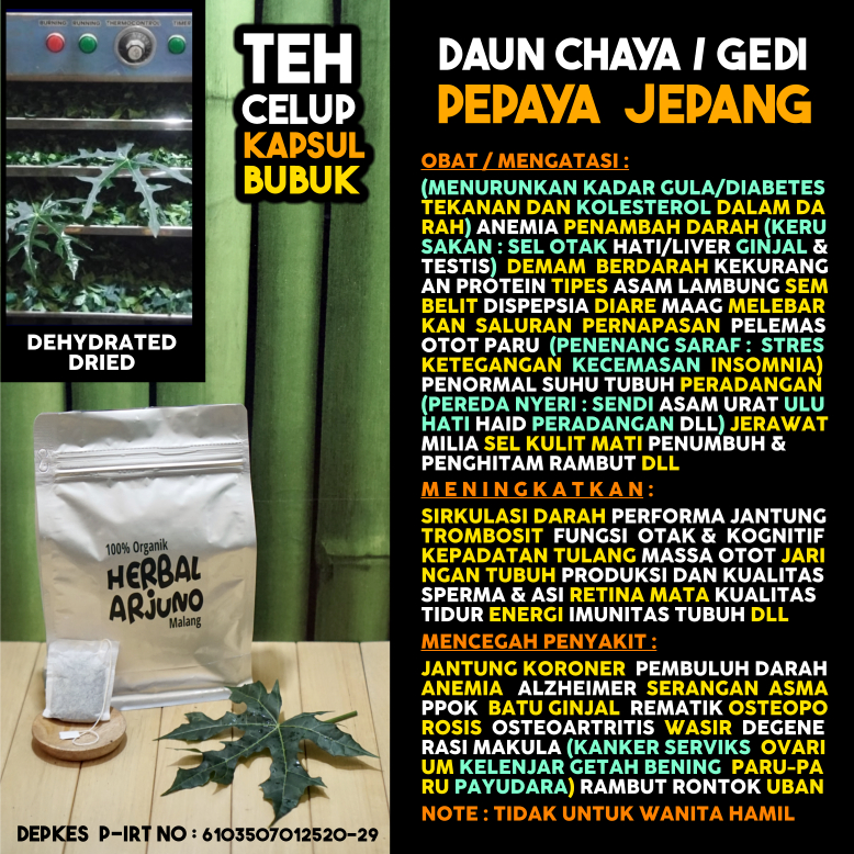 Dehydrated Dried Teh Celup Kapsul Bubuk Daun Pepaya Jepang Chaya Gedi Obat Anemia Demam Berdarah Tro