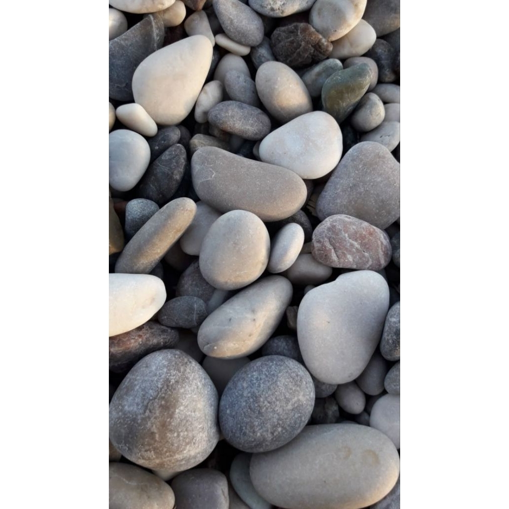 Batu Koral Hitam / Batu alam / Batu Taman