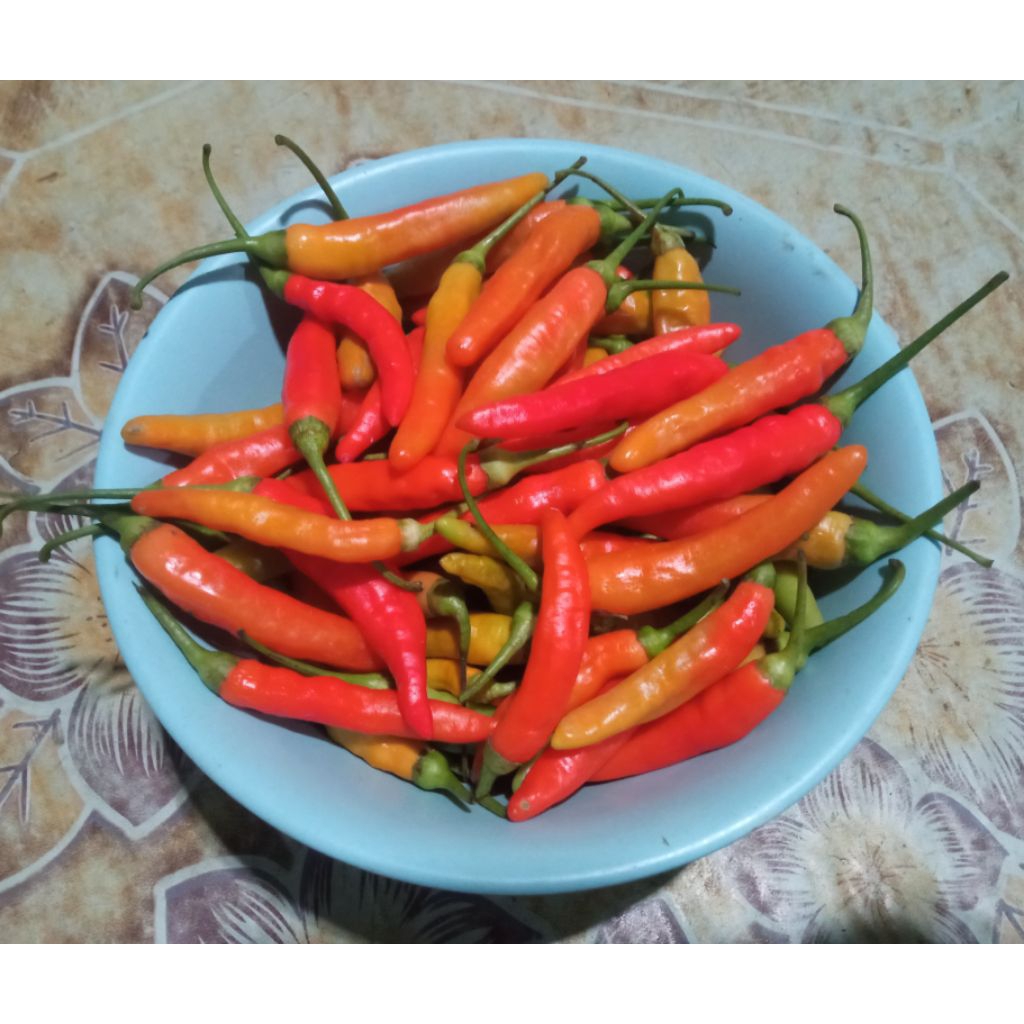 Cabai rawit fres/Cabai rawit 1kg langsung dari Petani