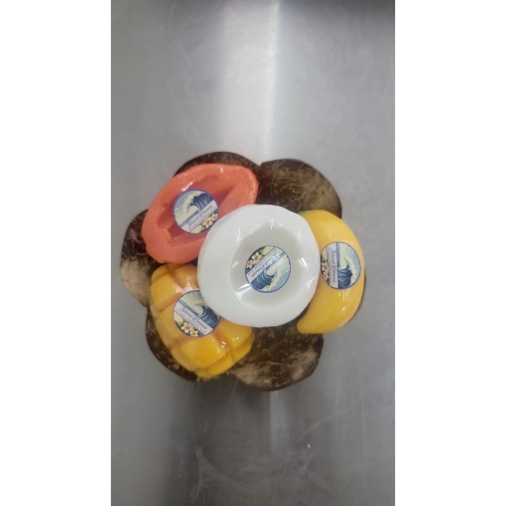 Tempat sabun batok kelapa