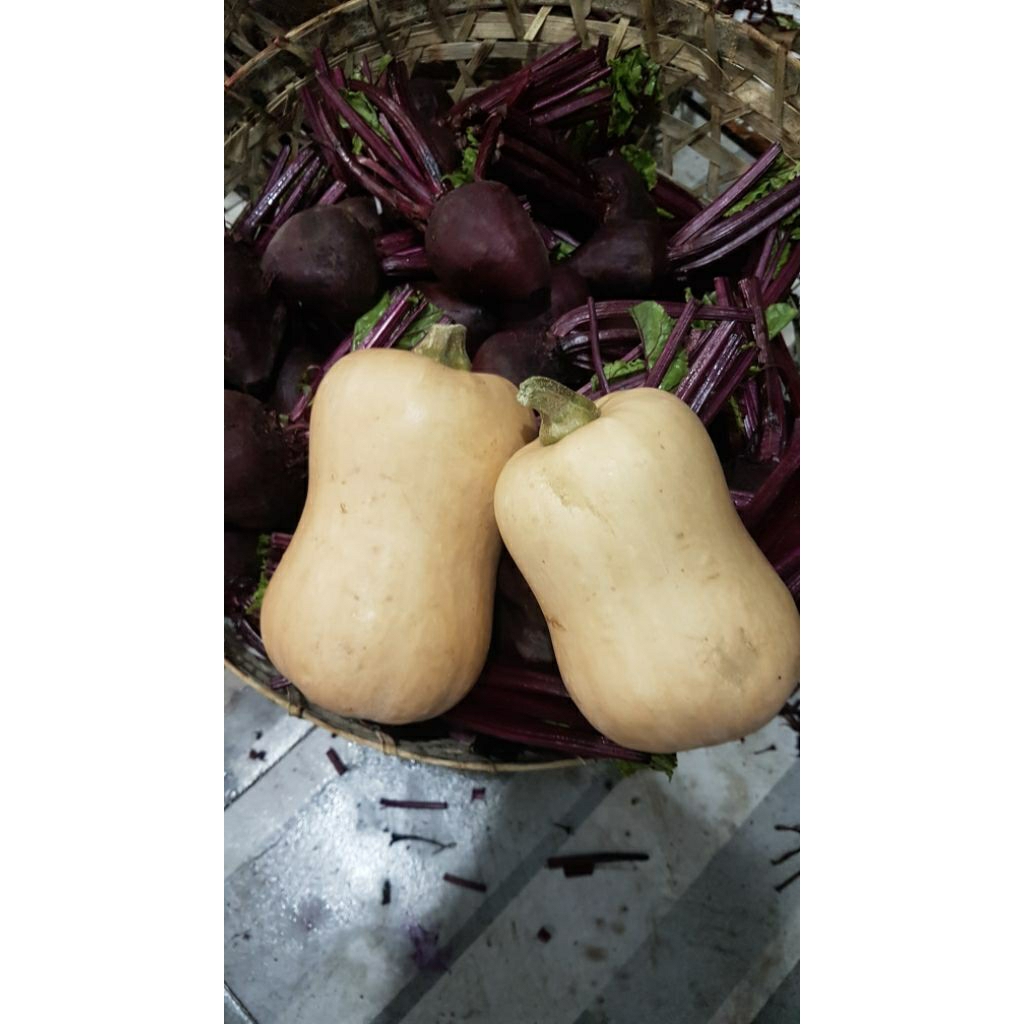 1kg Batternut / labu madu