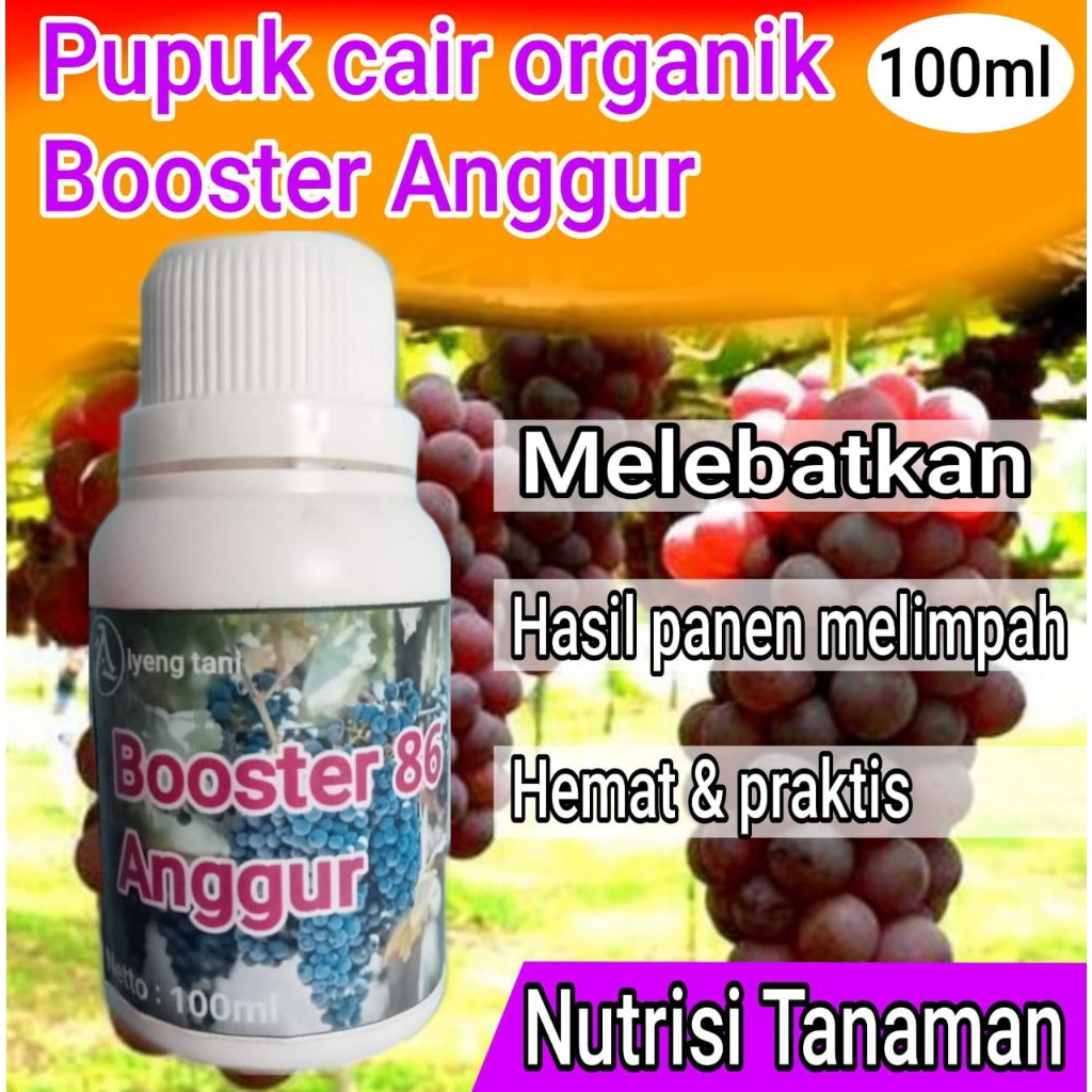 pupuk booster anggur