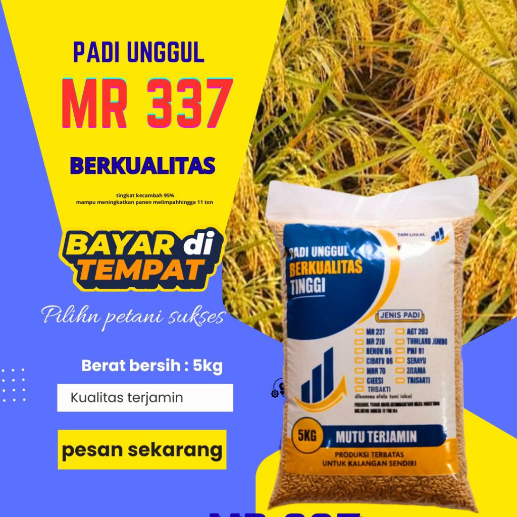 Benih Padi Mr 337 Kemasan 5kg