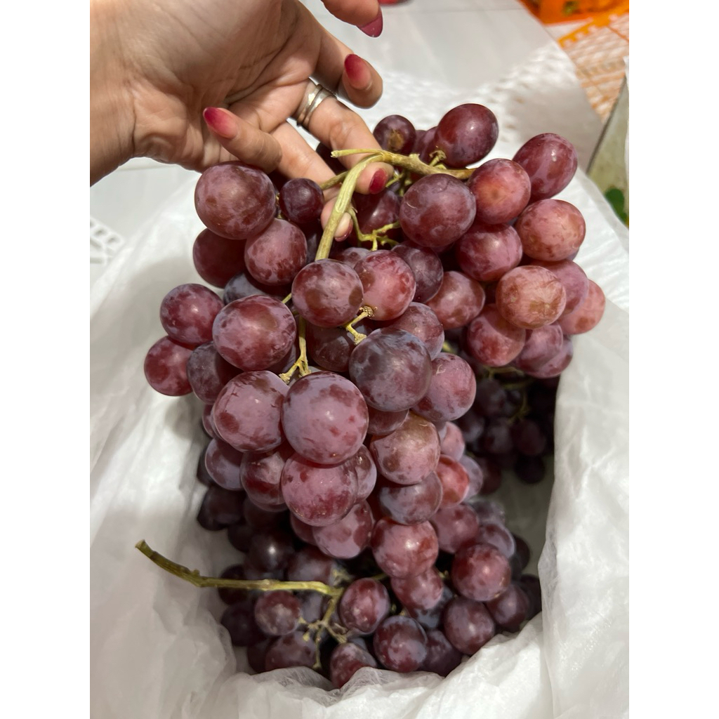 Buah anggur merah | berbiji | anggur merah manis | Ready