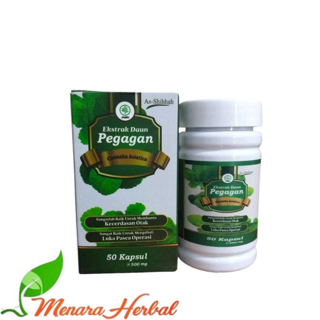 Kapsul Pegagan Ash-shihhah | Ekstrak Daun Pegagan Ash-Shihhah Centella Asiatica 50 Kapsul