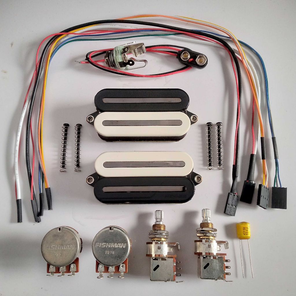 Fishman Fluence open core modern Humbucker set zebra