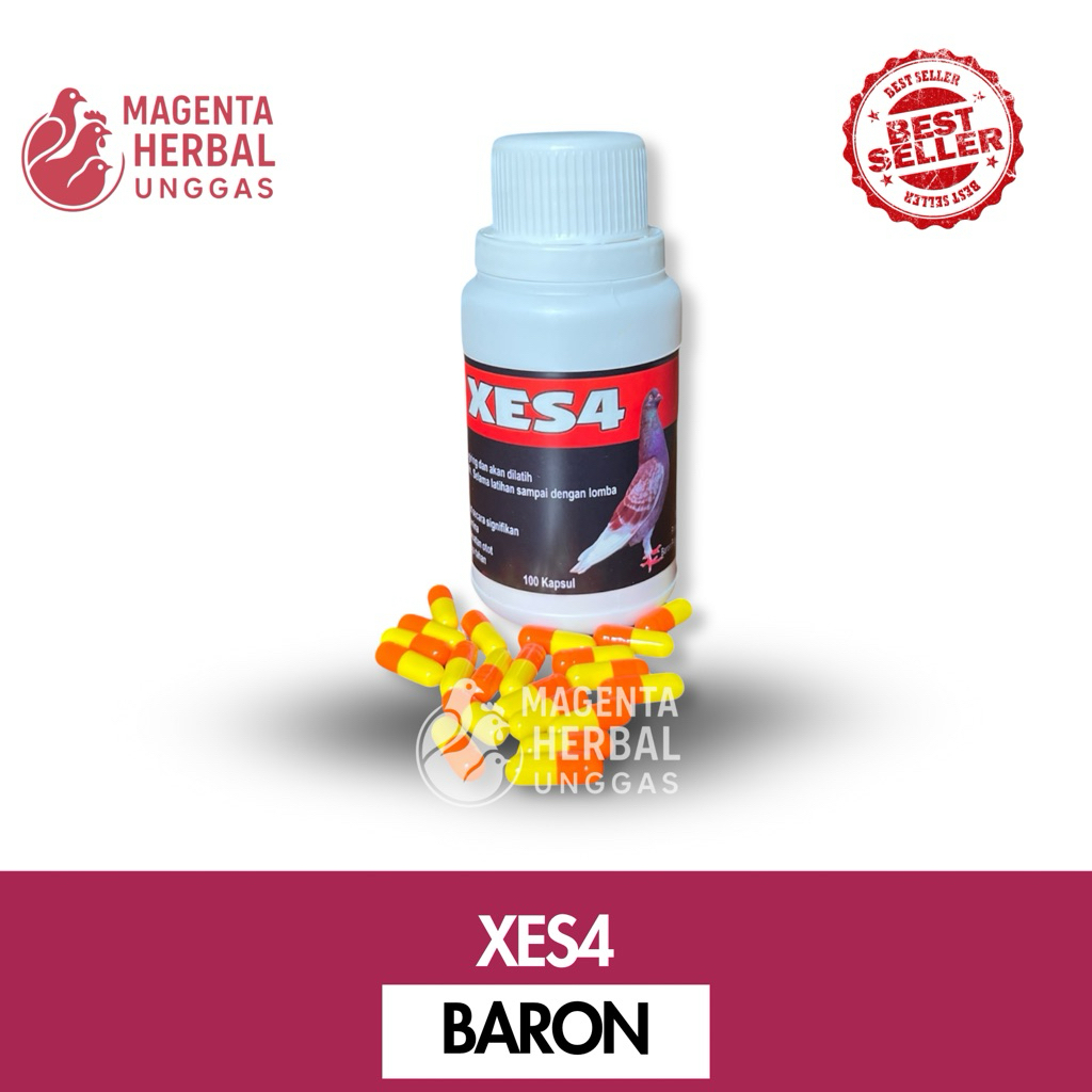 XES4 produk baron original