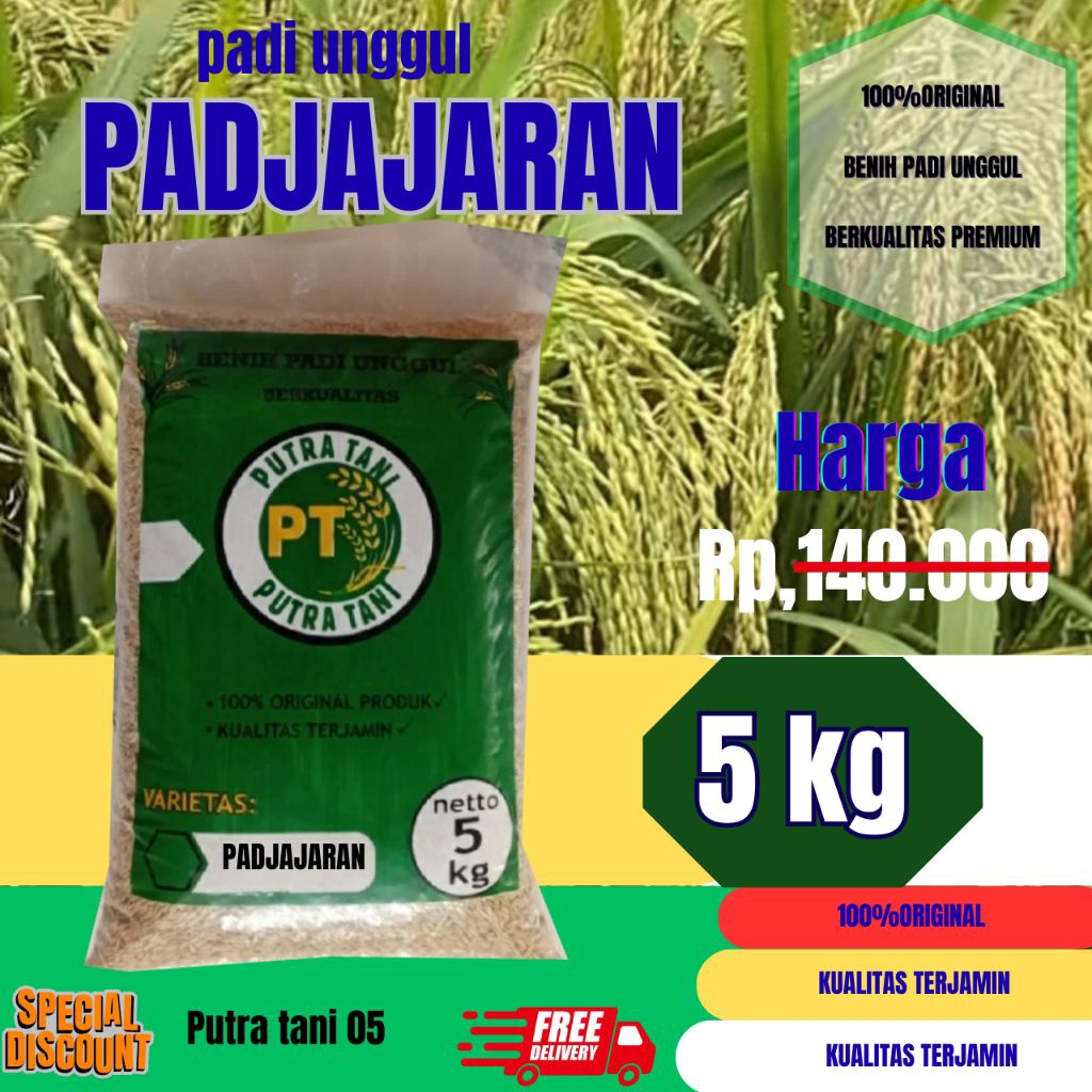 BENIH PADI/ PADJAJARAN /KEMASAN 5KG/BENIH PADI PREMIUM BERKUALITAS /BISA COD