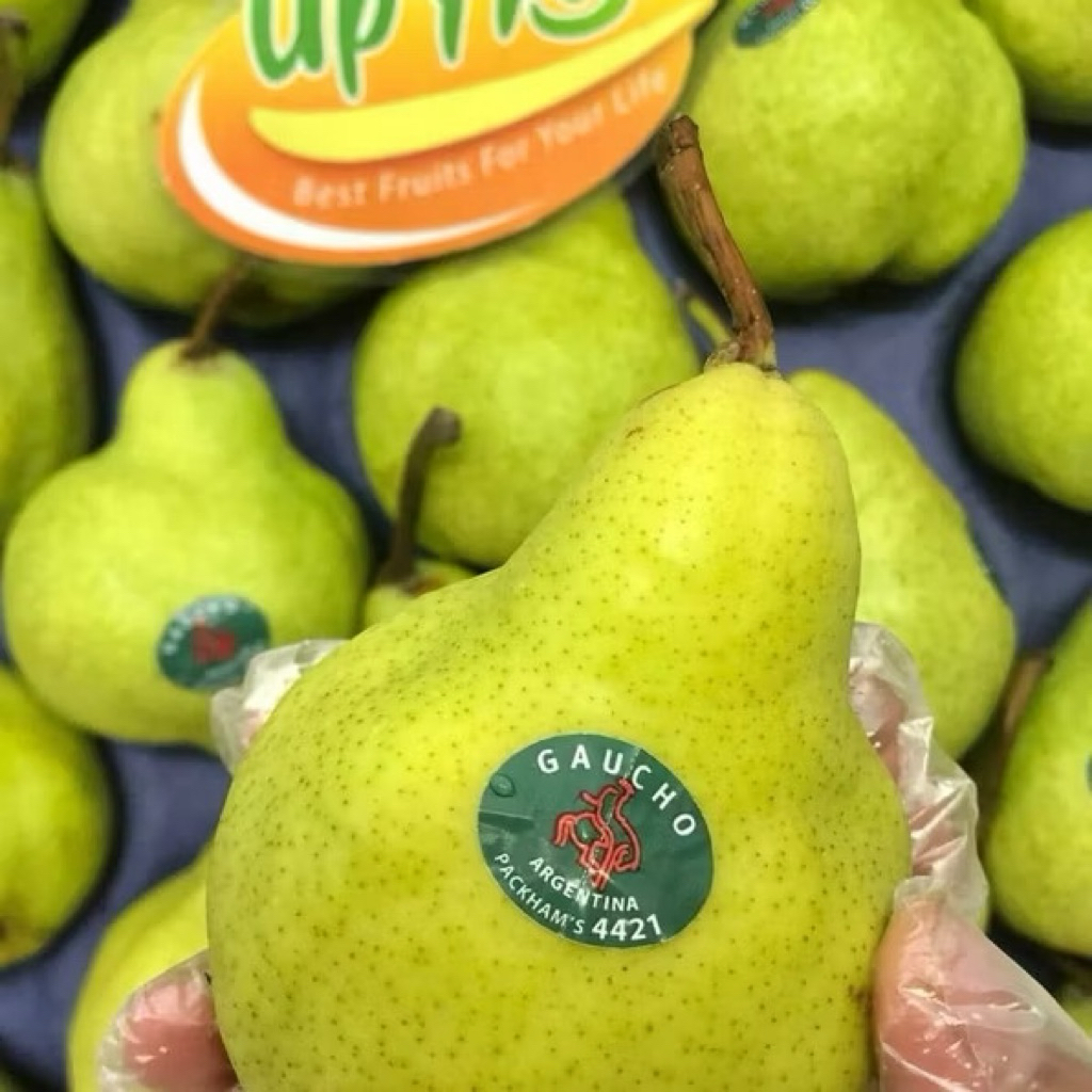 PIR PACKHAM HARGA 1 KG PIR HIJAU PIR JAMBU