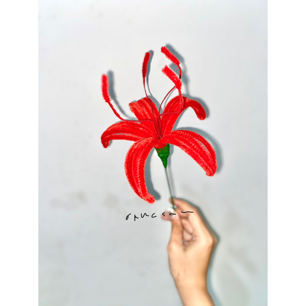 1 Tangkai Bunga Spider LilyKawat Bulu/Pipe cleaner Spider Lily/Kawat Bulu Spider Lily all colour