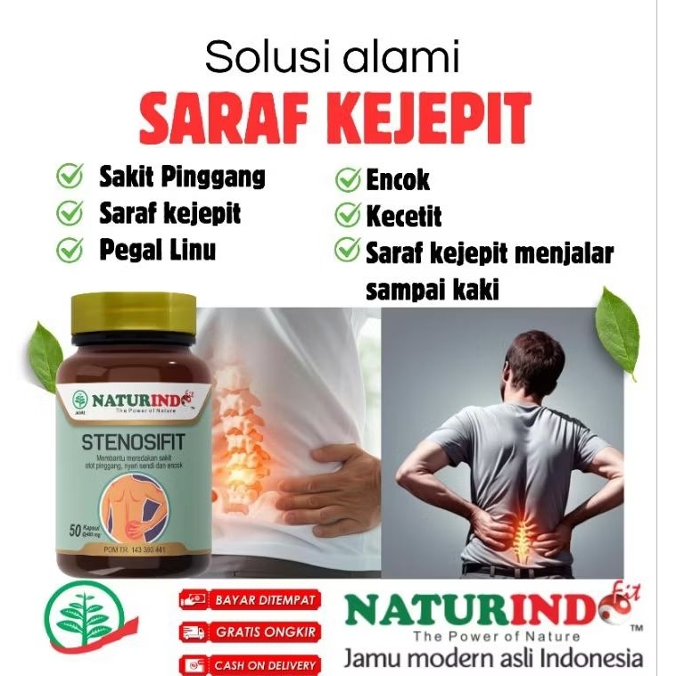 Obat Encok Pereda Nyeri Paling Ampuh Herbal Sakit Pinggang