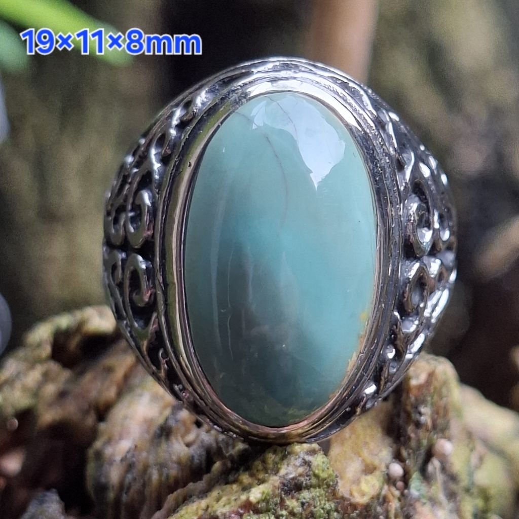 Natural Pirus Persia Hijau Pupus