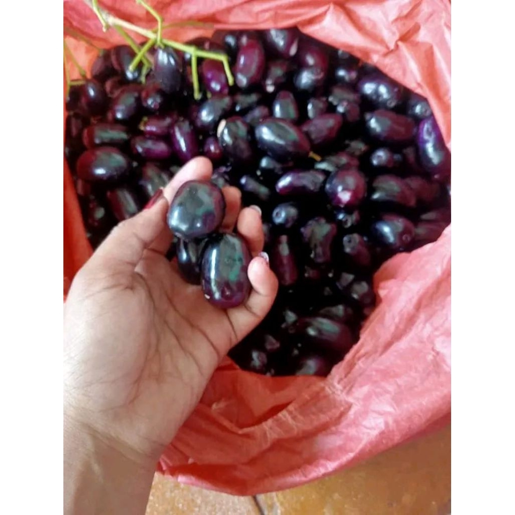 Buah Jamblang / Buah Juwet  kemasan 1kg Fresh manis