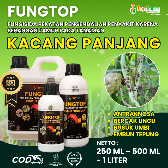 Obat Jamur Topfarm / Obat Kacang Panjang Anti Kuning / Obat Hama Untuk Kacang Panjang / Obat Jamur A