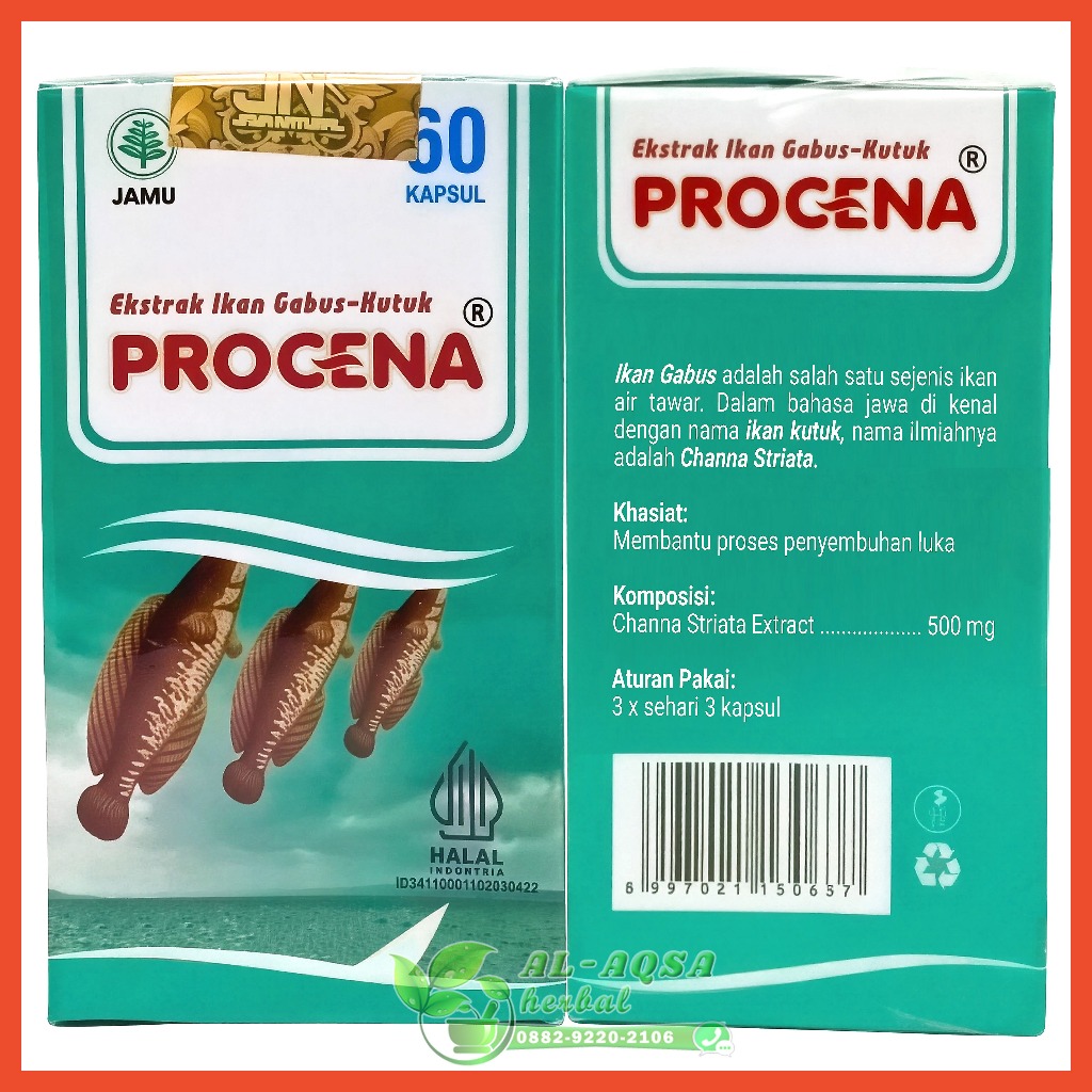 Procena Ekstrak Ikan Gabus 60 Kapsul Albumin