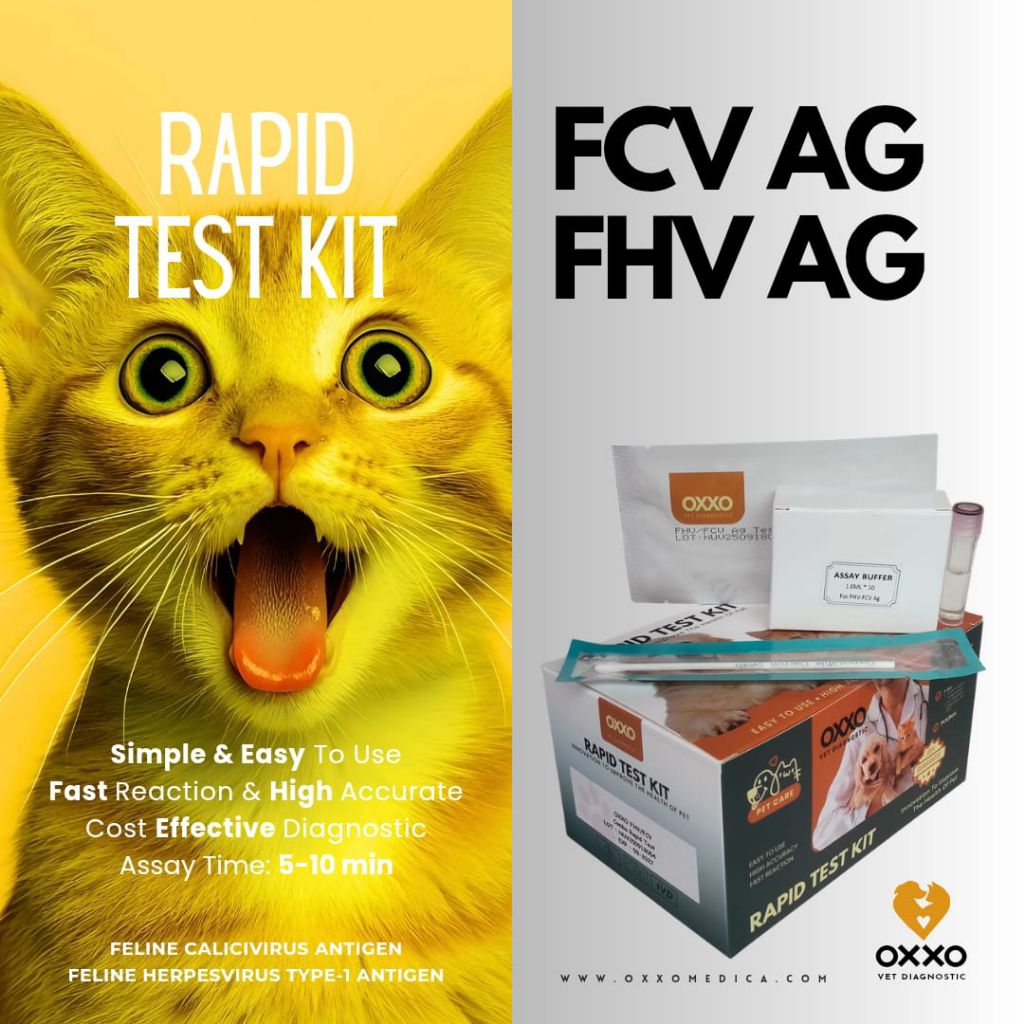 Rapid Tes/Test Kit FCV/FHV