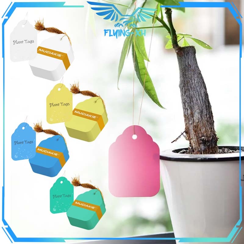 Label Tanaman Gantung 100pcs Papan Nama Tanaman Plant Tag Label Nama Tanaman Nametag Tanaman