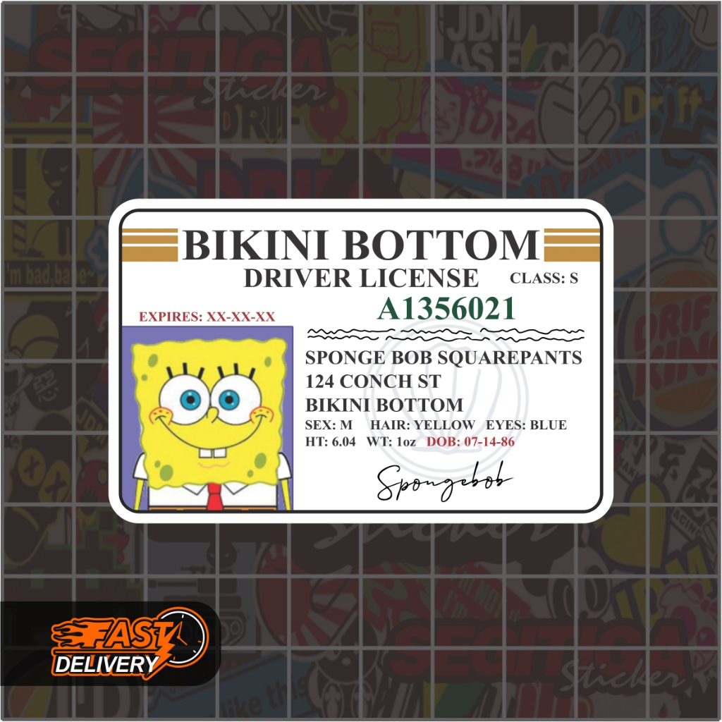 Sticker Bikini Bottom Driver License Ukuran 7 x 4.5 Cm