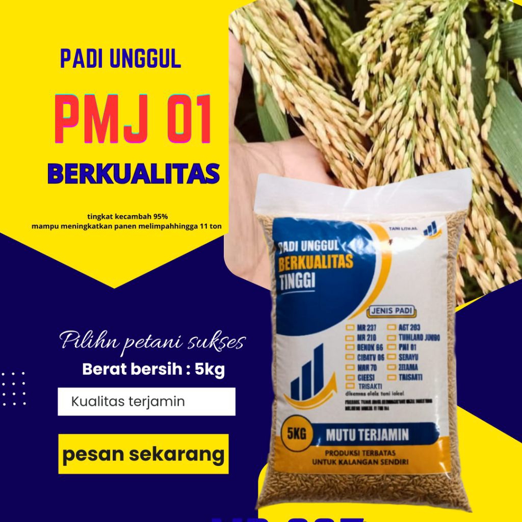 Benih padi PMJ 01 5 Kg