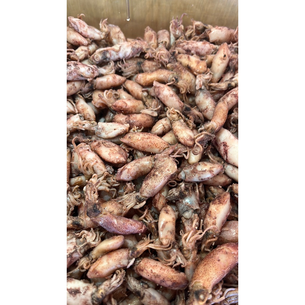 Cumi Telur Premium 500gr – Cumi Isi Telur Segar, Gurih & Empuk