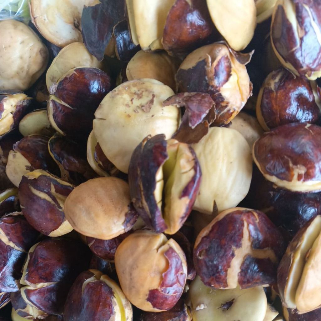 jengkol jepara 1kg