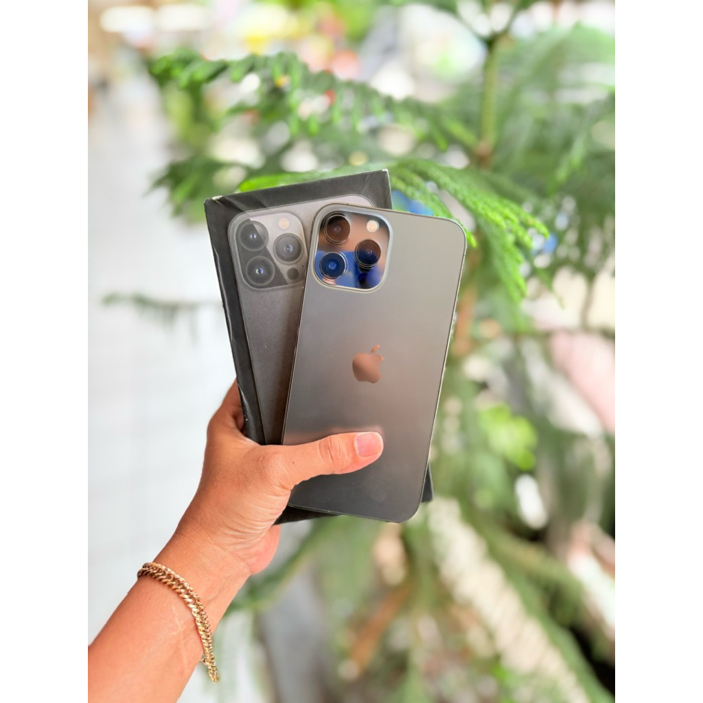 IPhone13ProMax128Gb-Regist